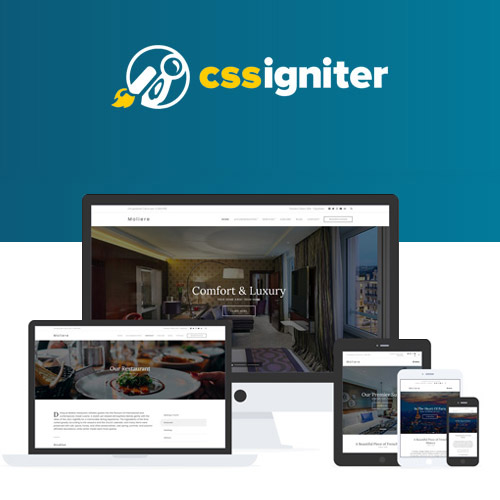 CSS Igniter Moliere WordPress Theme