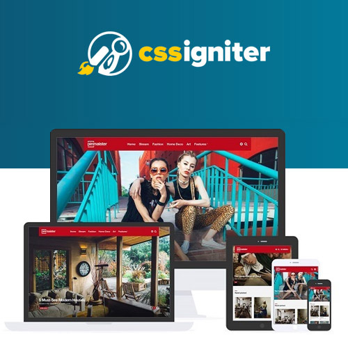 CSS Igniter Pinmaister WordPress Theme