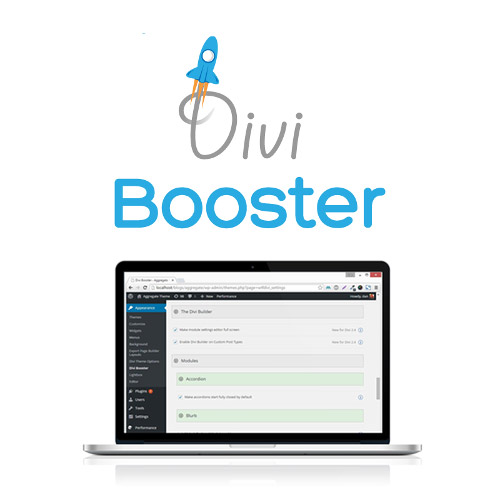 Divi Booster