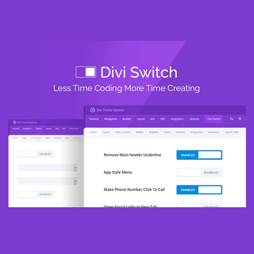 divi-switch