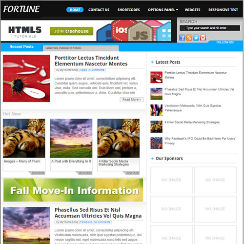 MyThemeShop Fortune WordPress Theme