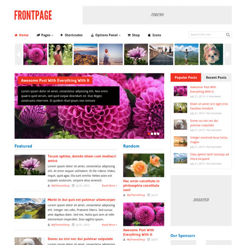 MyThemeShop Frontpage WordPress Theme