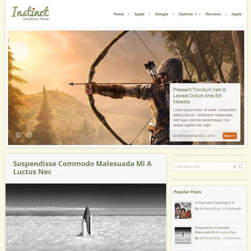 MyThemeShop Instinct WordPress Theme