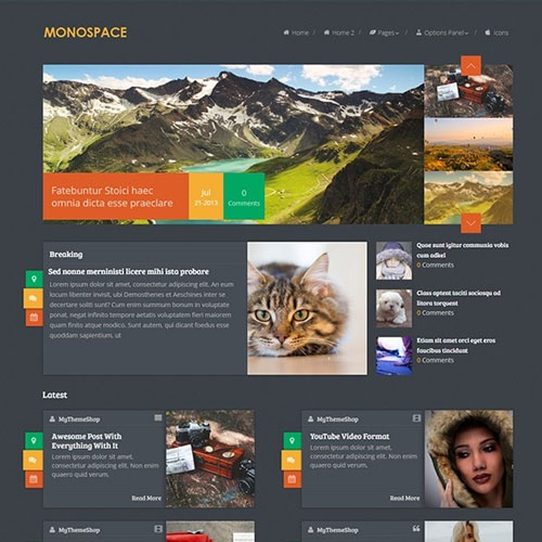 MyThemeShop Monospace WordPress Theme