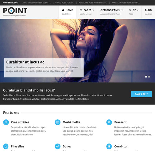 MyThemeShop Point Pro WordPress Theme