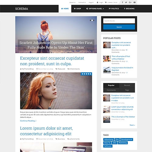 MyThemeShop Schema WordPress Theme