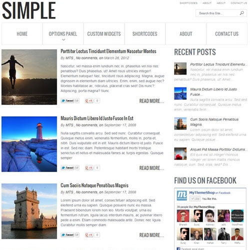 MyThemeShop Simple WordPress Theme